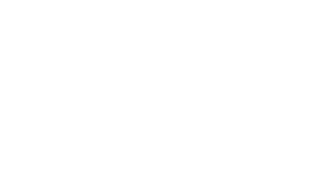 BlueRig Logistics